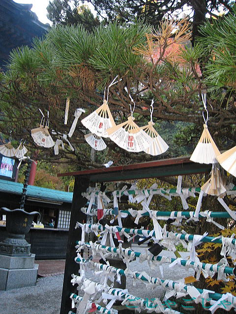 水沢神社_b0189573_10415482.jpg