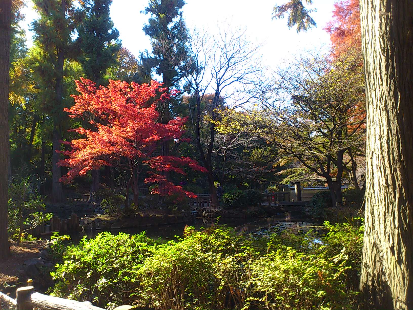 e0212073_1674451.jpg