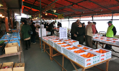 f0084573_2232926.jpg