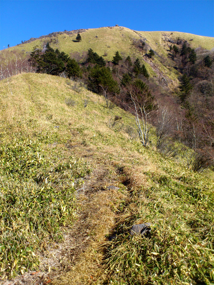 中央分水嶺・三峰山　_c0220374_15485184.jpg