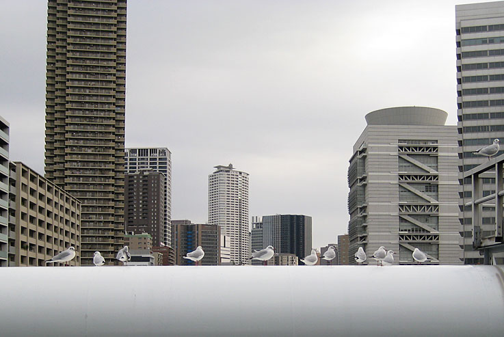 b0057679_8273721.jpg
