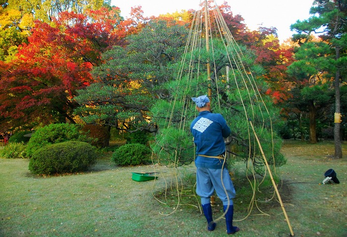 紅葉の六義園_c0187781_01163.jpg