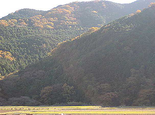 東秩父村安戸から嵐山町遠山へ_c0076682_182028.jpg