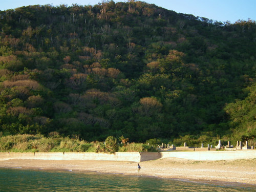 今日は良い天気♪　その２_e0028387_2222199.jpg