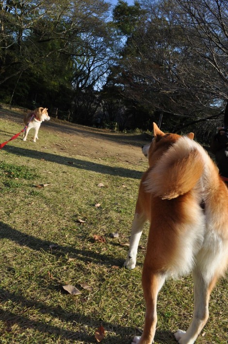 見ないふり_a0126590_2321792.jpg