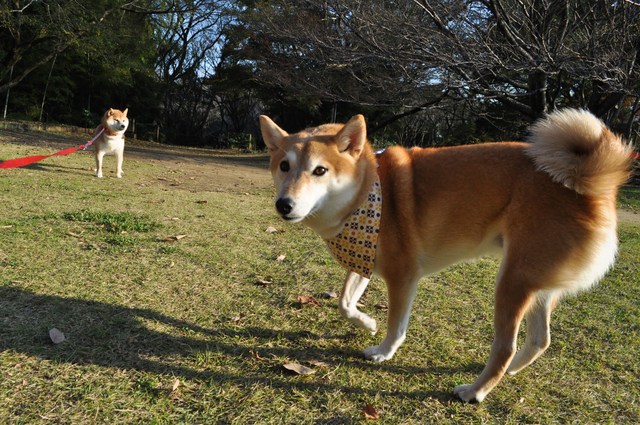 見ないふり_a0126590_234456.jpg