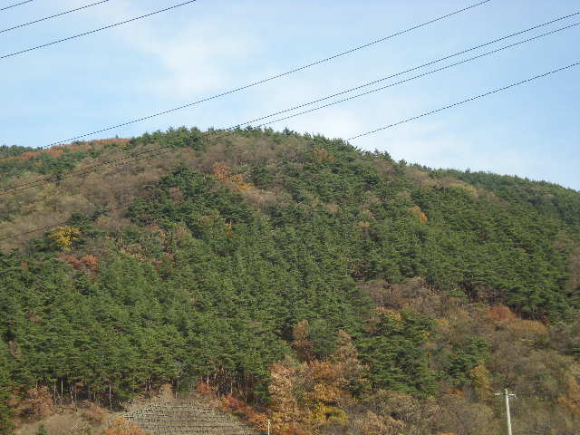 毎日の風景_e0233190_2146136.jpg