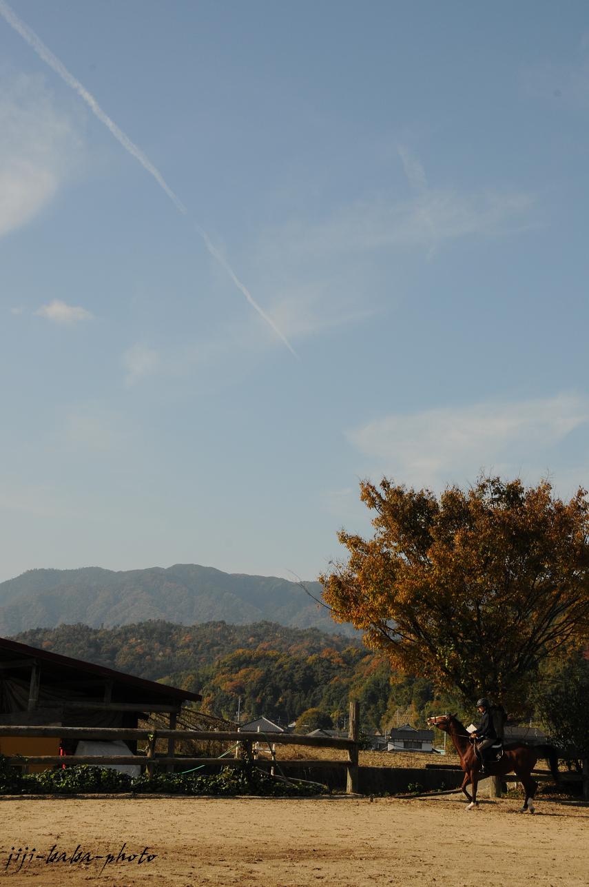 d0239891_93575.jpg