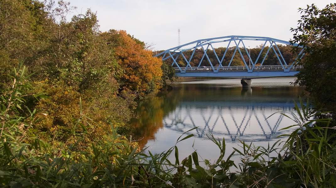 a0152692_17212457.jpg