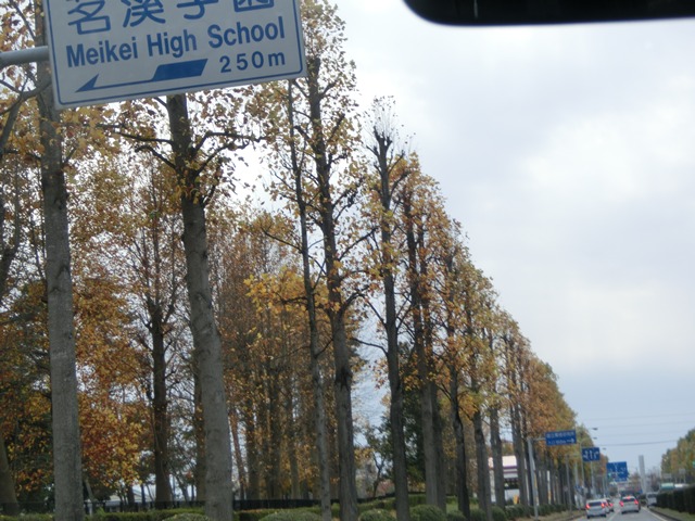 素敵な洞峰公園、頑張れ安倍総裁、負けるな野田総裁、頑張れみんなの党、素敵なつくば学園都市の秋⑤_d0181492_17231851.jpg