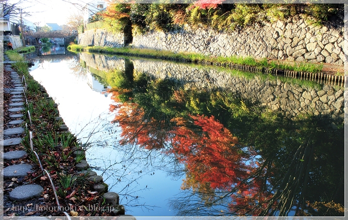 今日の八幡掘り_b0166896_2362380.jpg