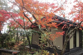 ２０１２雑木の庭の武蔵野（高田町海津）・千寿の楽しい歴史_a0137997_1626565.jpg