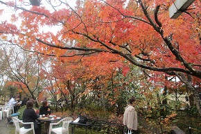 ２０１２雑木の庭の武蔵野（高田町海津）・千寿の楽しい歴史_a0137997_16281555.jpg