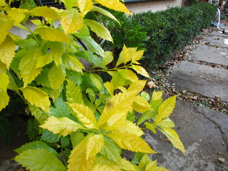 f0178897_14995.jpg