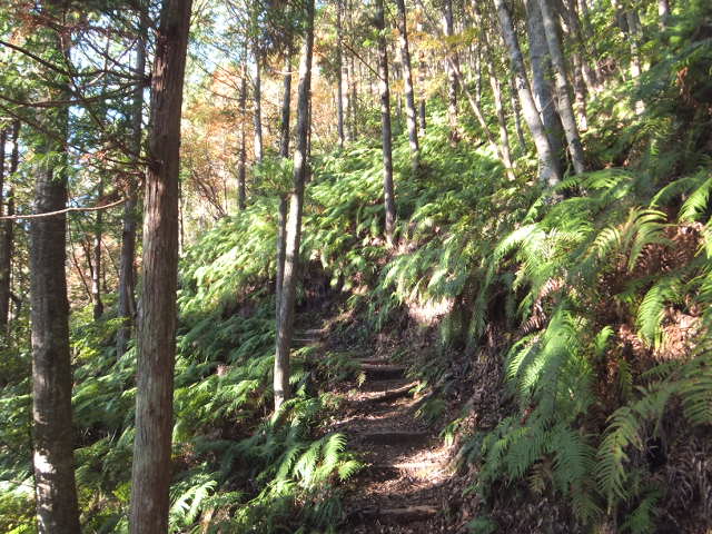 a0271502_14104885.jpg