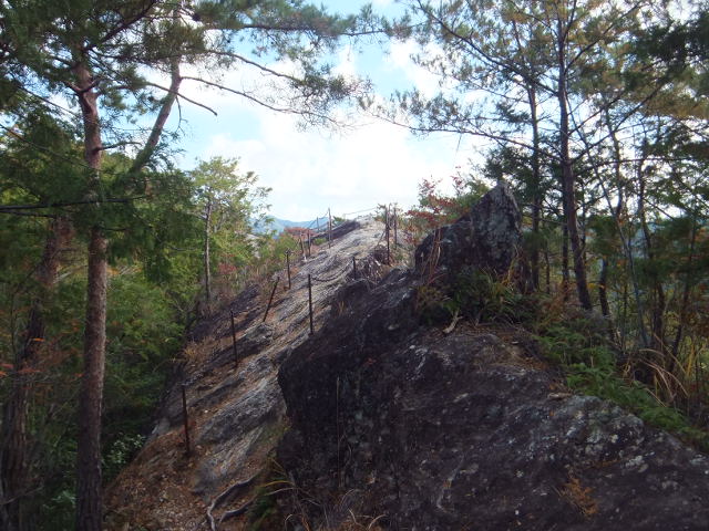 a0271502_1551999.jpg