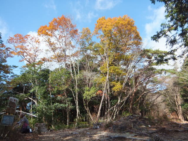 a0271502_1663420.jpg