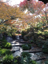 e0257402_21253552.gif