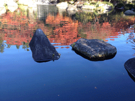 e0257402_21275593.gif