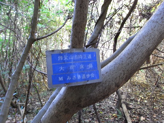 f0187402_22082.jpg