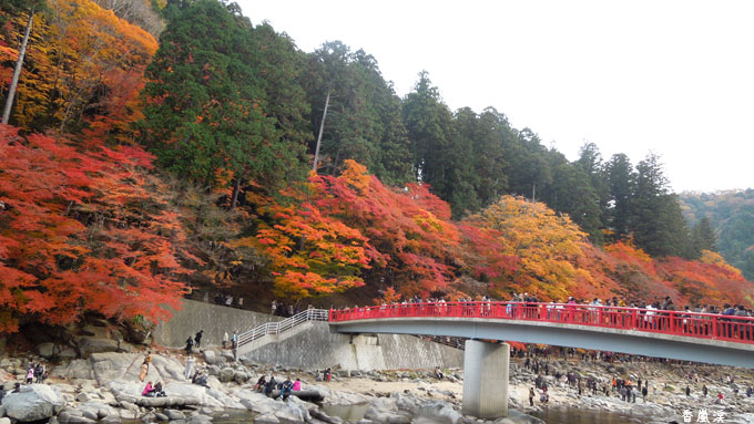 香嵐渓、京都、奈良の紅葉 (1)_c0051105_2185512.jpg