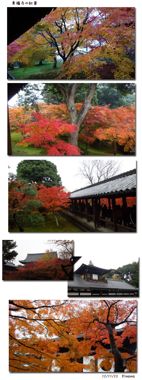 香嵐渓、京都、奈良の紅葉 (2)_c0051105_2239273.jpg