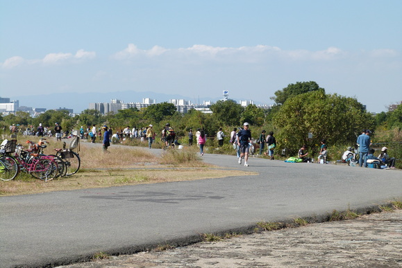 第12回 城北ワンド・イタセンパラ再生活動 外来魚駆除釣り大会 in 淀川 2012秋_a0263106_125848100.jpg
