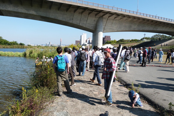 第12回 城北ワンド・イタセンパラ再生活動 外来魚駆除釣り大会 in 淀川 2012秋_a0263106_14521575.jpg
