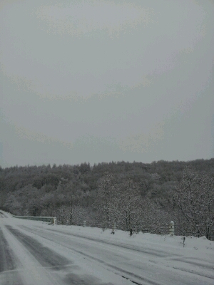 a0164408_15565522.jpg