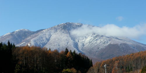 里帰り　先祖がえり_b0218008_14581981.jpg