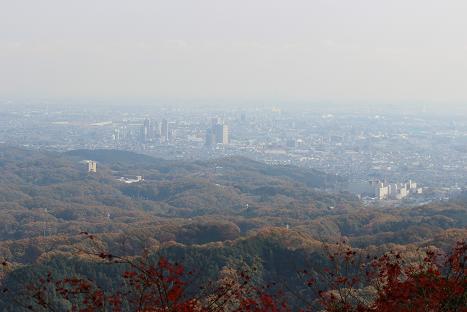 a0149809_234568.jpg
