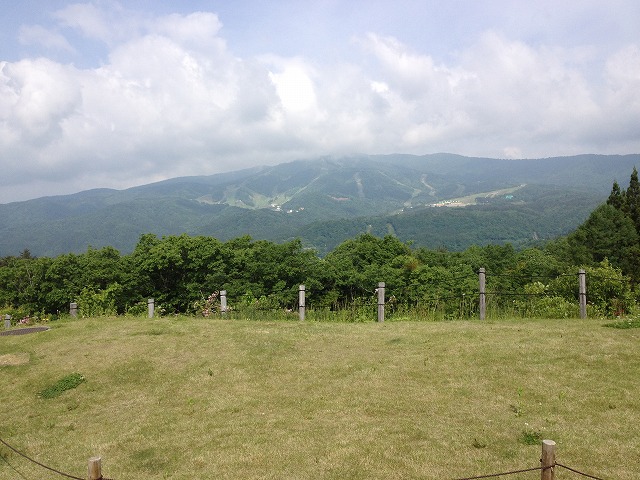 d0153509_7345799.jpg