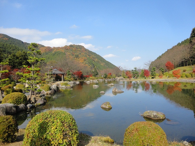 西条市本谷温泉・日本庭園公園の紅葉no1…2012・11・25_f0231709_0513916.jpg