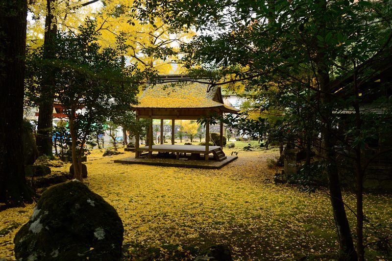 2012京都の紅葉・岩戸落葉神社_f0032011_19251851.jpg