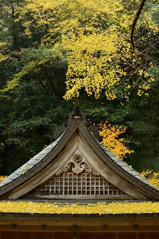 2012京都の紅葉・岩戸落葉神社_f0032011_19252682.jpg