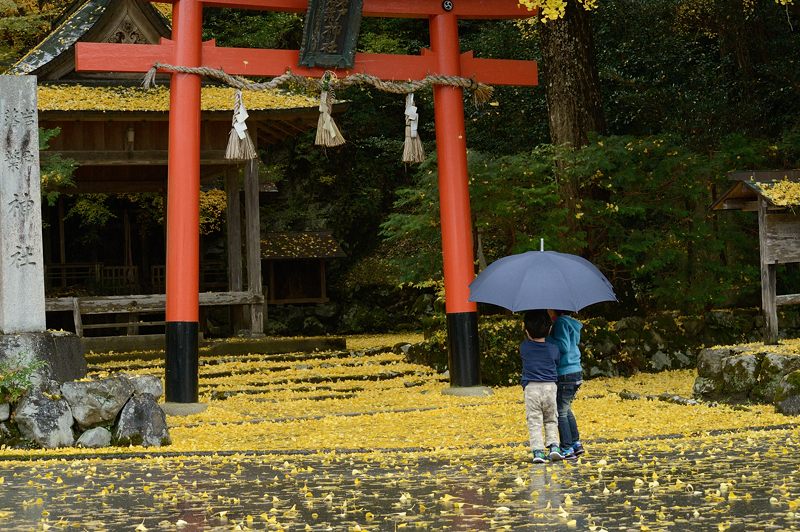 2012京都の紅葉・岩戸落葉神社_f0032011_19255054.jpg