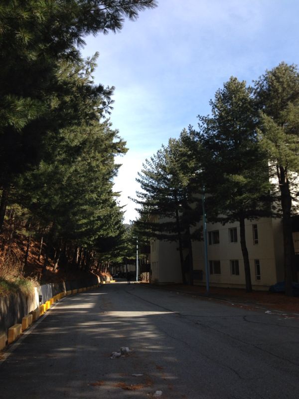 b0192820_0321186.jpg