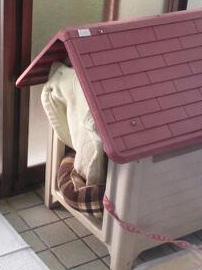 一難去ってまた…_d0157021_1553881.jpg