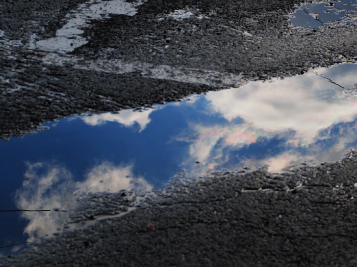 雨上がりの道路で_b0244424_2343486.jpg