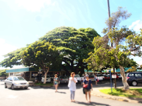 c0215524_20571043.jpg