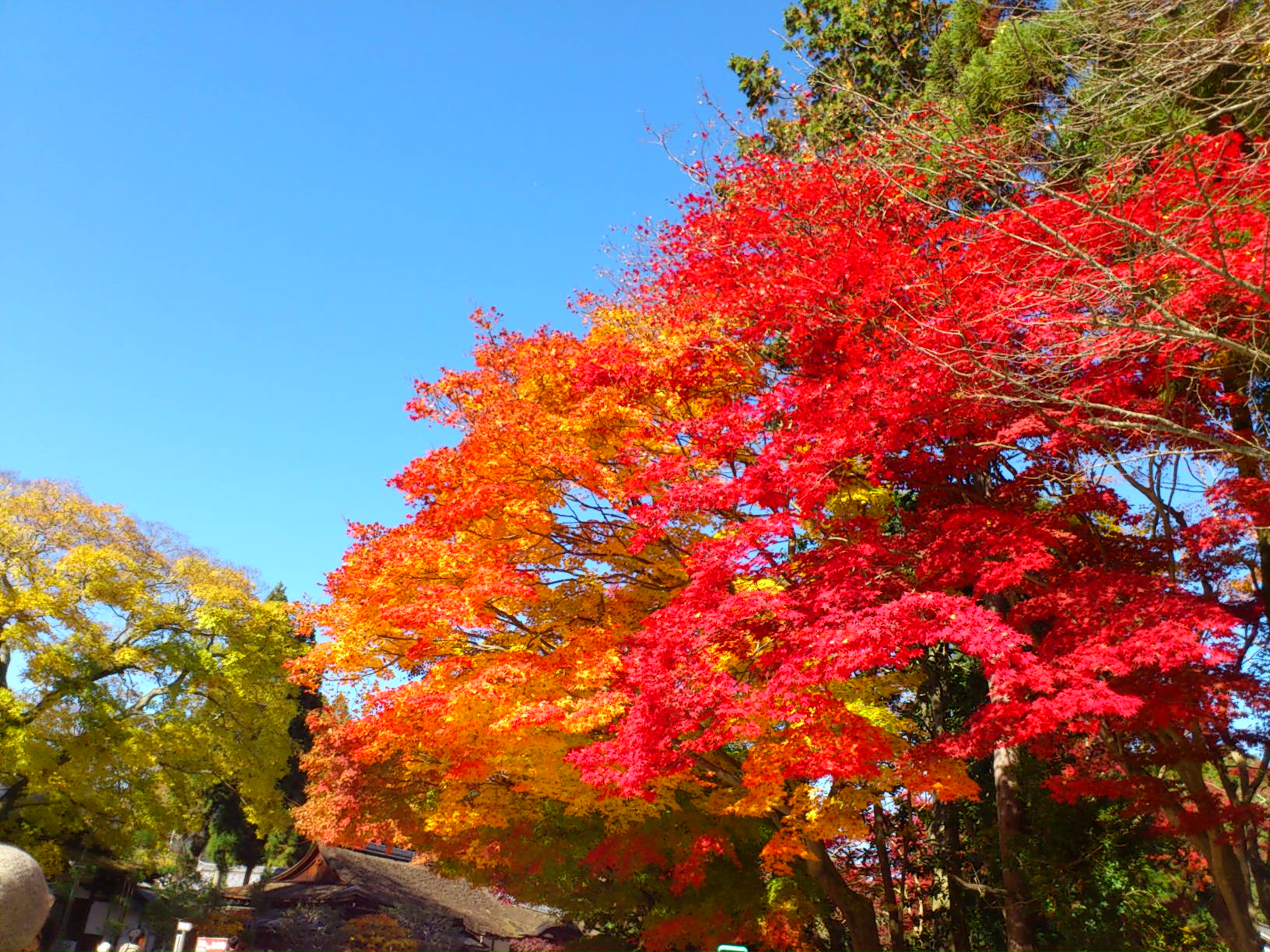 神社の手づくり市無事終了しました。_e0128024_1343584.jpg