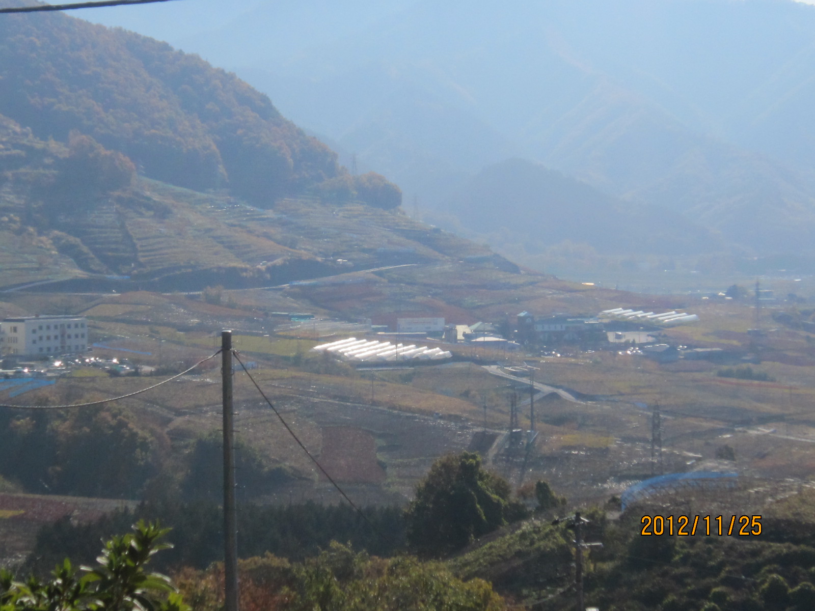 d0162225_17395351.jpg