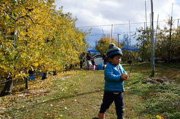 b0104826_1054183.jpg