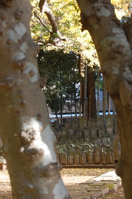 e0108126_9365682.jpg
