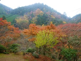 わんこと旅する京都　高山寺_e0132426_2116444.jpg