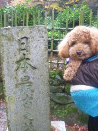 わんこと旅する京都　高山寺_e0132426_2138951.jpg