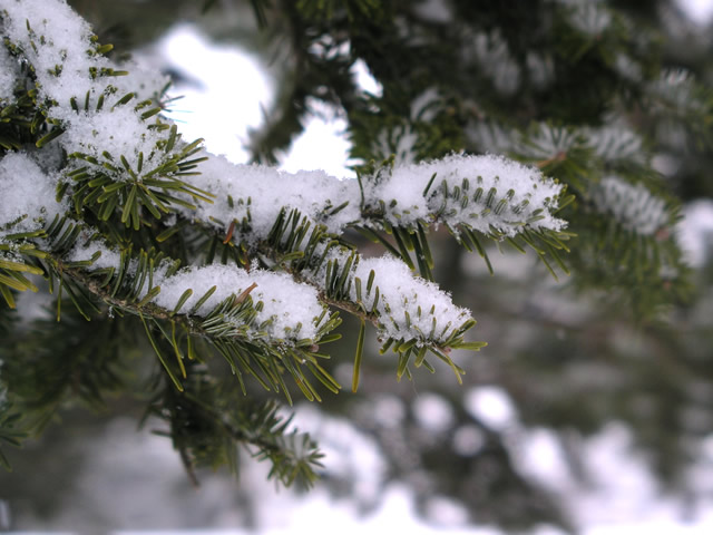 a0113431_18401063.jpg