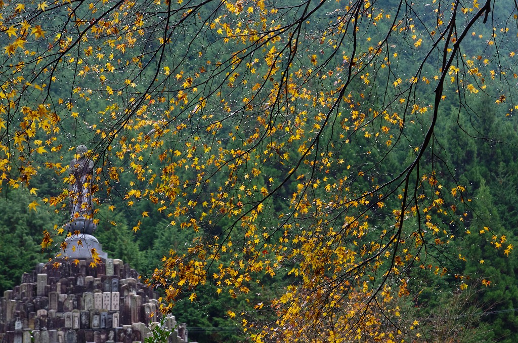 c0106831_22583330.jpg