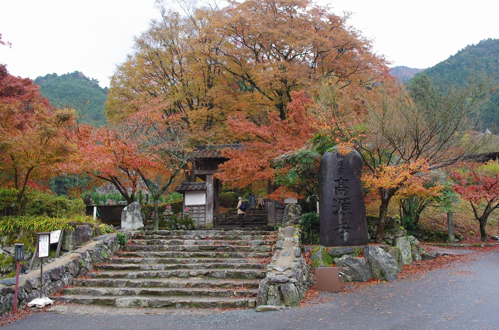 c0106831_2314551.jpg