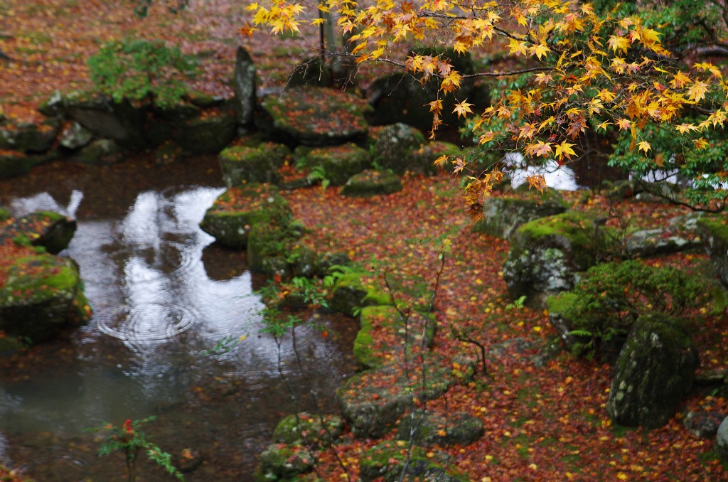 c0106831_233253.jpg